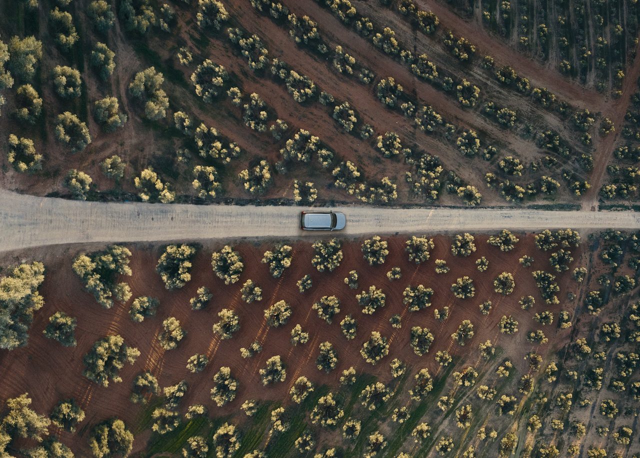 Group of employees in and around vehicles