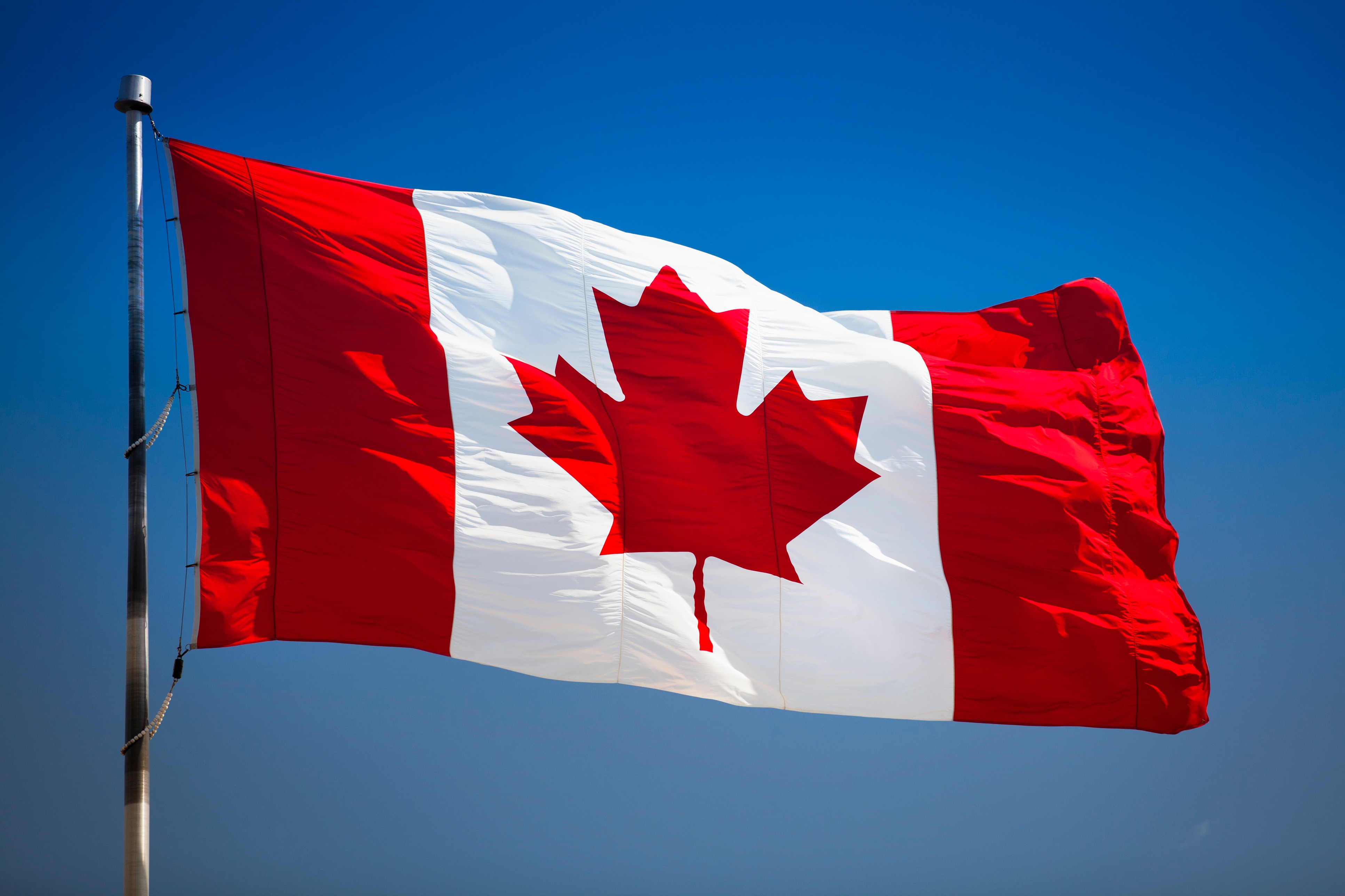 Первый канада. Флаг Канада. Штандарт Канады. Национальный флаг Канады. Флаг Канады Канады.